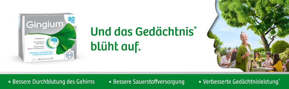 Gingium 80 mg Packung. Menschen sitzen an einem Tisch. Bessere Durchblutung, Sauerstoffversorgung, Gedächtnisleistung.